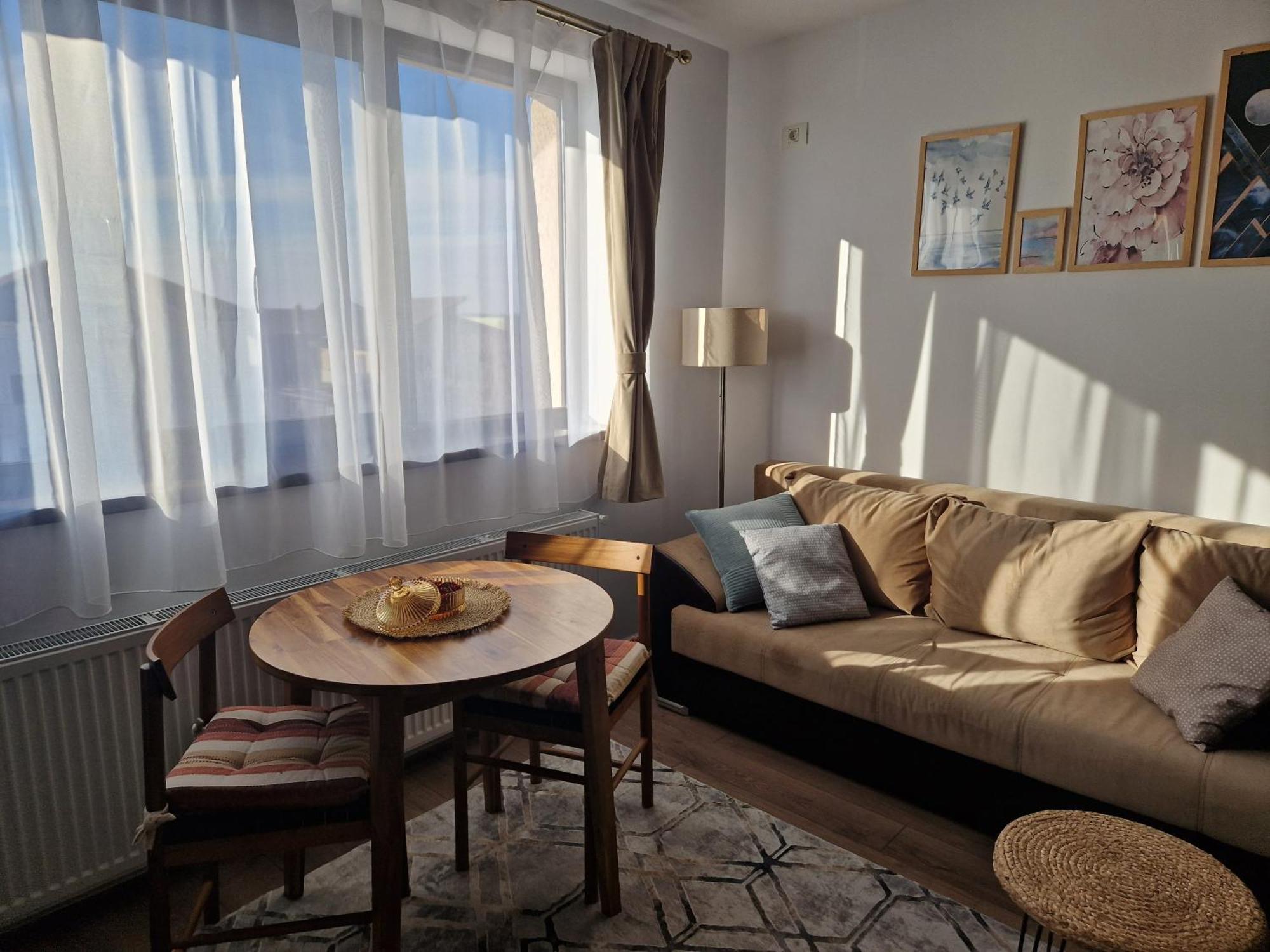 Craitelor Boutique Airport Apartment 奥托佩尼 外观 照片