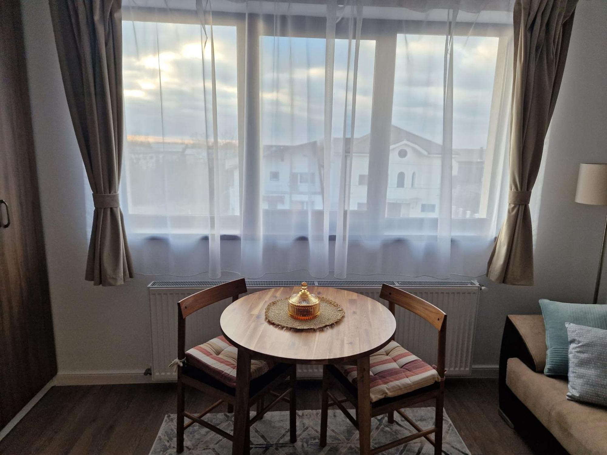Craitelor Boutique Airport Apartment 奥托佩尼 外观 照片