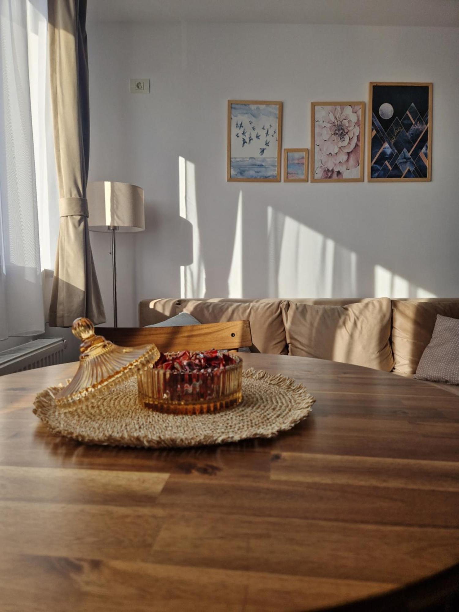 Craitelor Boutique Airport Apartment 奥托佩尼 外观 照片